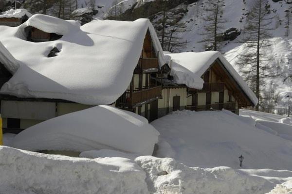 Residence Dei Walser Gressoney-la-Trinité Esterno foto